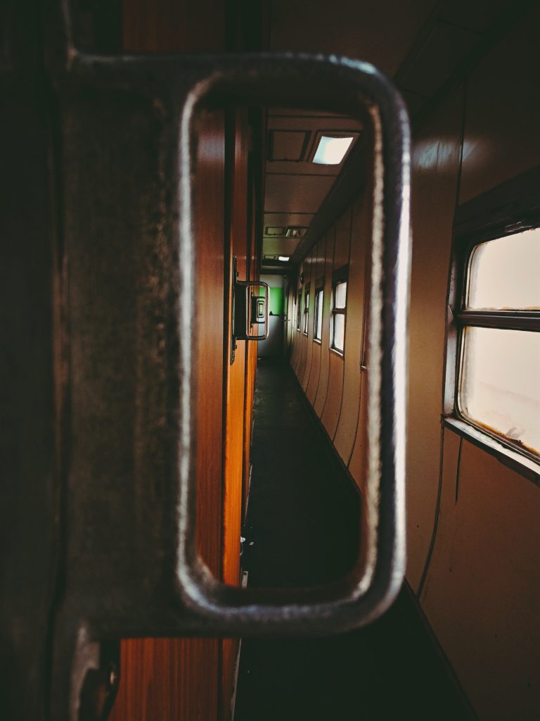 can dogs go in first class on trains