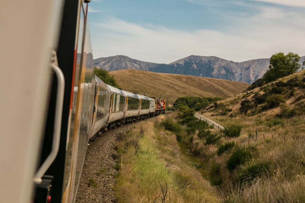 Travel with dog, dog in train, How to travel with dog in train in India 