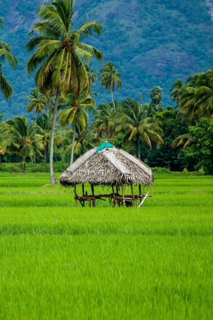 Kumarakom, in Kerala safe places to travel in india