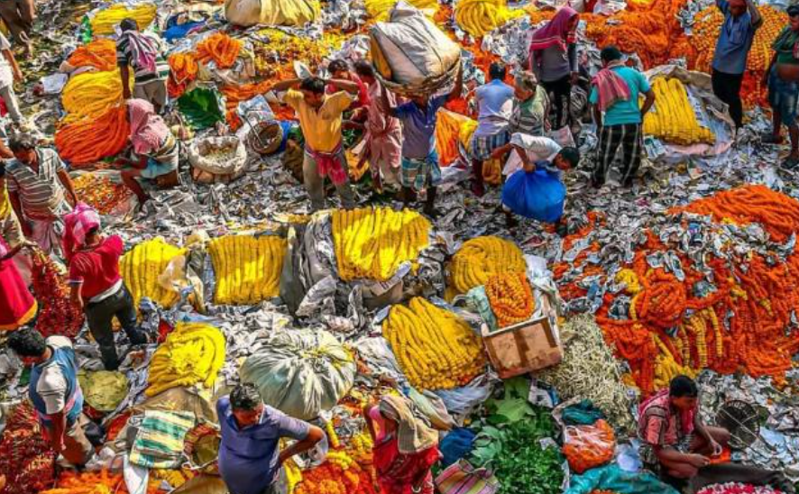 Mallick Ghat Flower, offbeat instagrammable places in kolkata, early morning photography in kolkata, photography places in kolkata, best photo spots in Kolkata, best instagrammable spots in kolkata