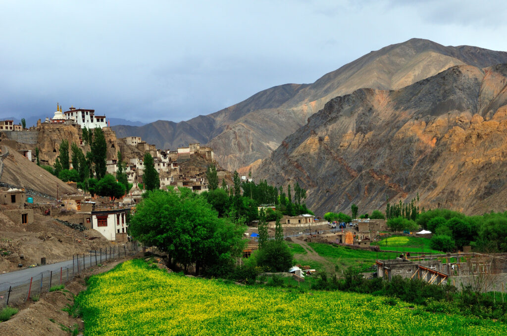 Stok Village, Leh Ladakh