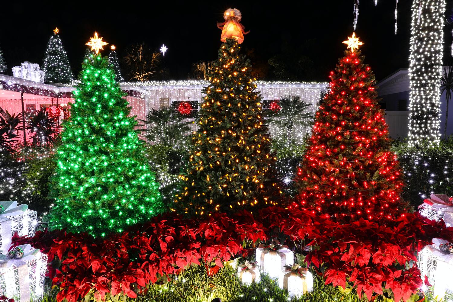 9 Best Places for Christmas in North Carolina