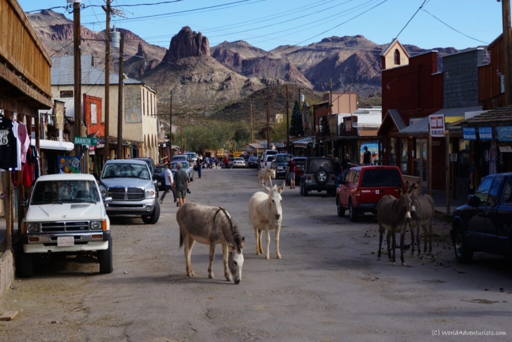 Oatman, best small town in arizona