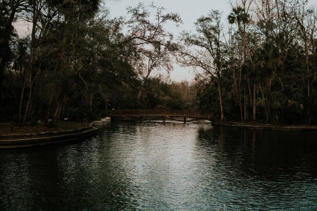 Wekiwa Springs State Park - Unique Weekend getaways in florida