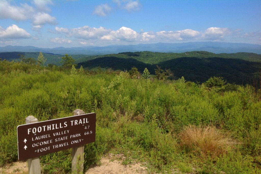 Sassafras Mountains, sary fcats about south carolina