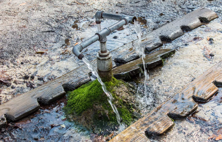 god’s acre healing spring, south carolina is known for