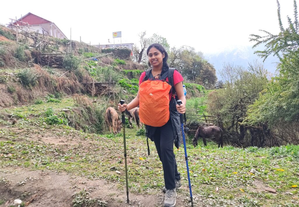 solo trek in nepal, mardi himal trek, offbeat trek in nepal 