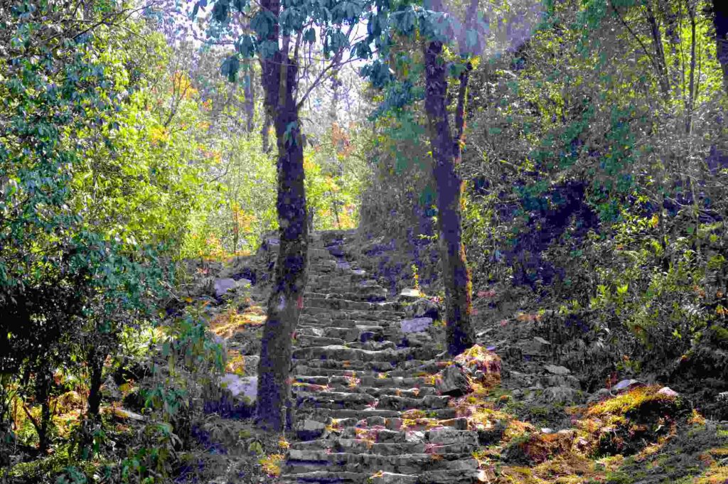 trail of mardi himal base camp