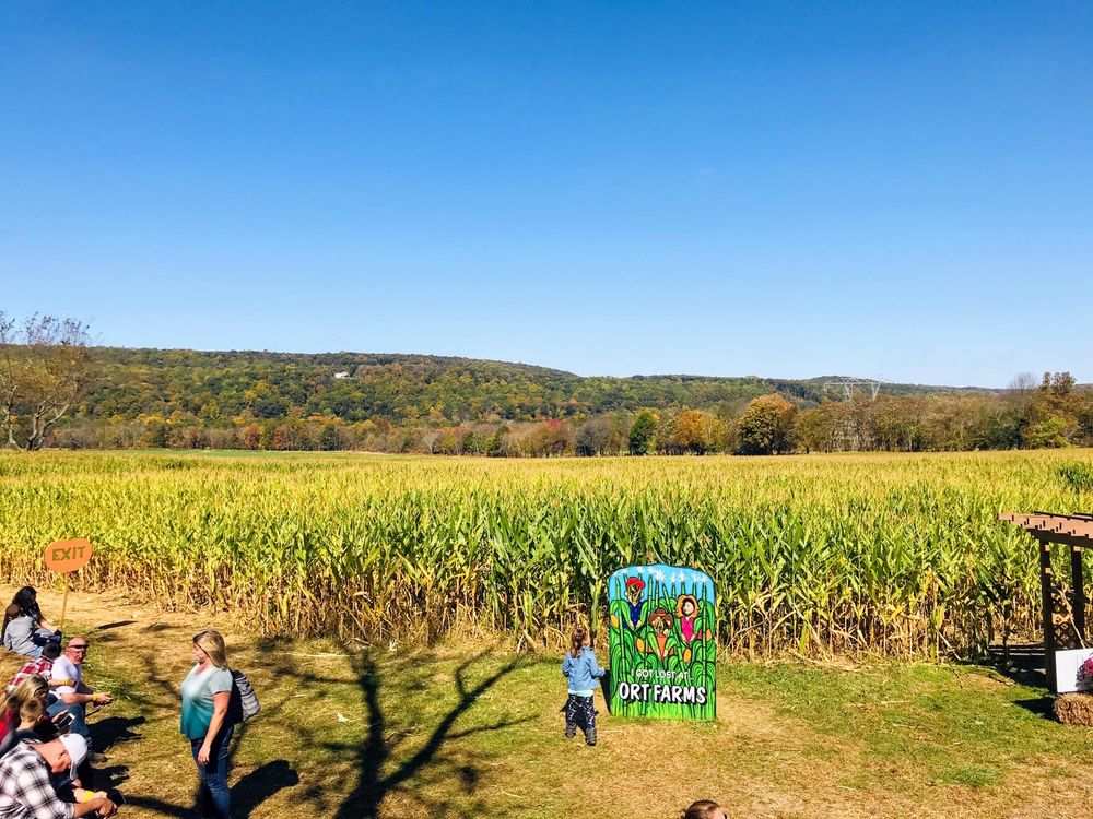 ort farms, long valley