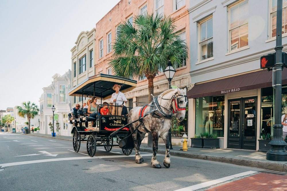 The Holiday Sleigh Ride