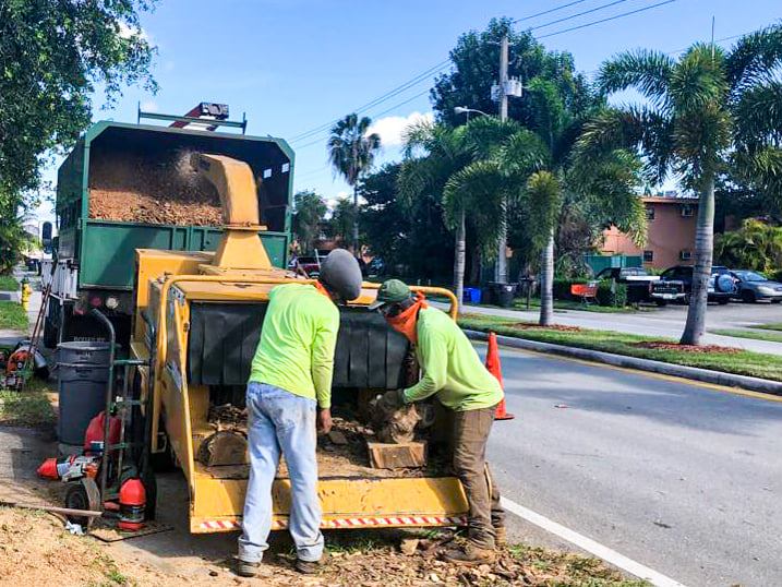 Tree cutter