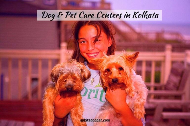 6 Best Dog & Pet Care Centers in Kolkata
